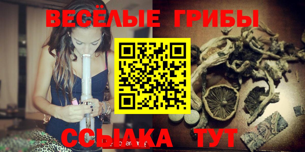 Галлюциногенные грибы мицелий Кингисепп