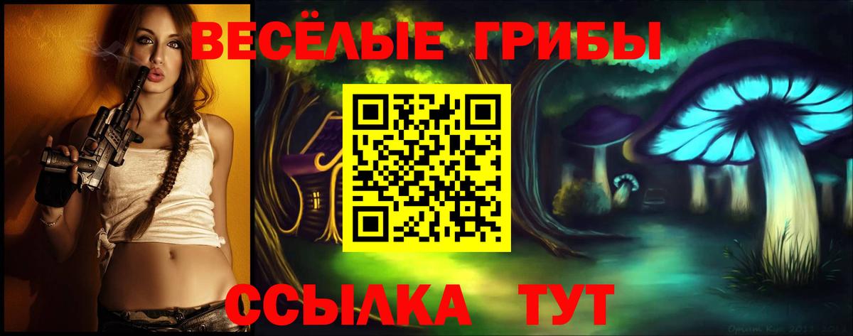 Кингисепп  Галлюциногенные грибы GOLDEN TEACHER  Вход с VPN 