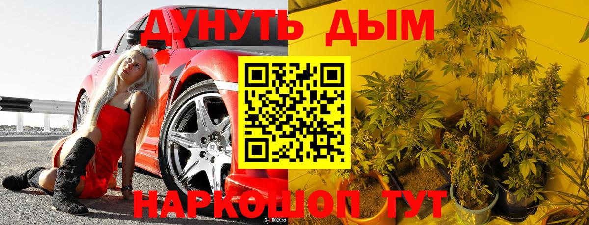 Марихуана план  Каннабис MAZAR  Марихуана OG Kush  Вход с VPN  Бошки марихуана индика  Кингисепп 